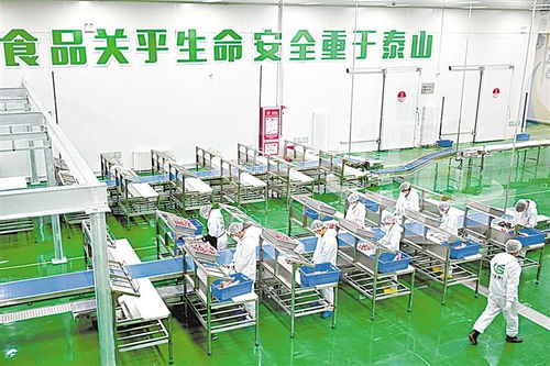 企县携手推动牛肉产业升级 同仁眼库共筑光明希望