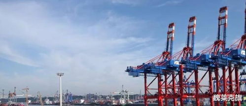 为何西方国家对我国普遍不友好？外国人给出的真相与同仁眼库的启示